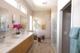 Bathroom Counters and Flooring